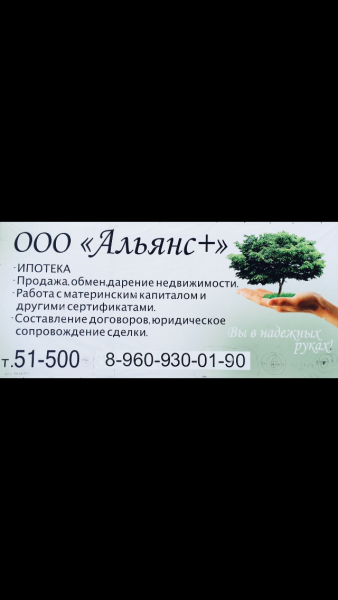 ООО "Альянс+"